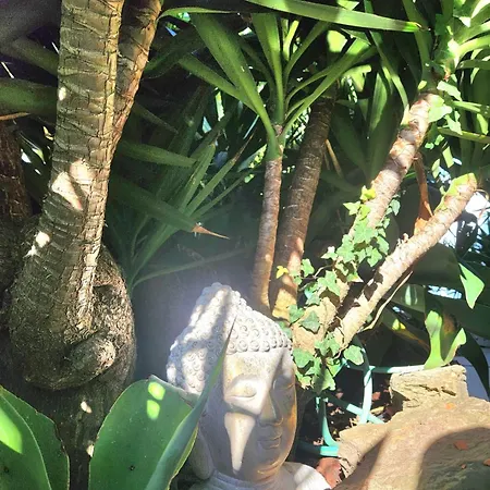 Secret Spot Luxury 别墅 *