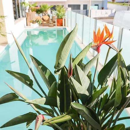 Secret Spot Luxury Вилла *